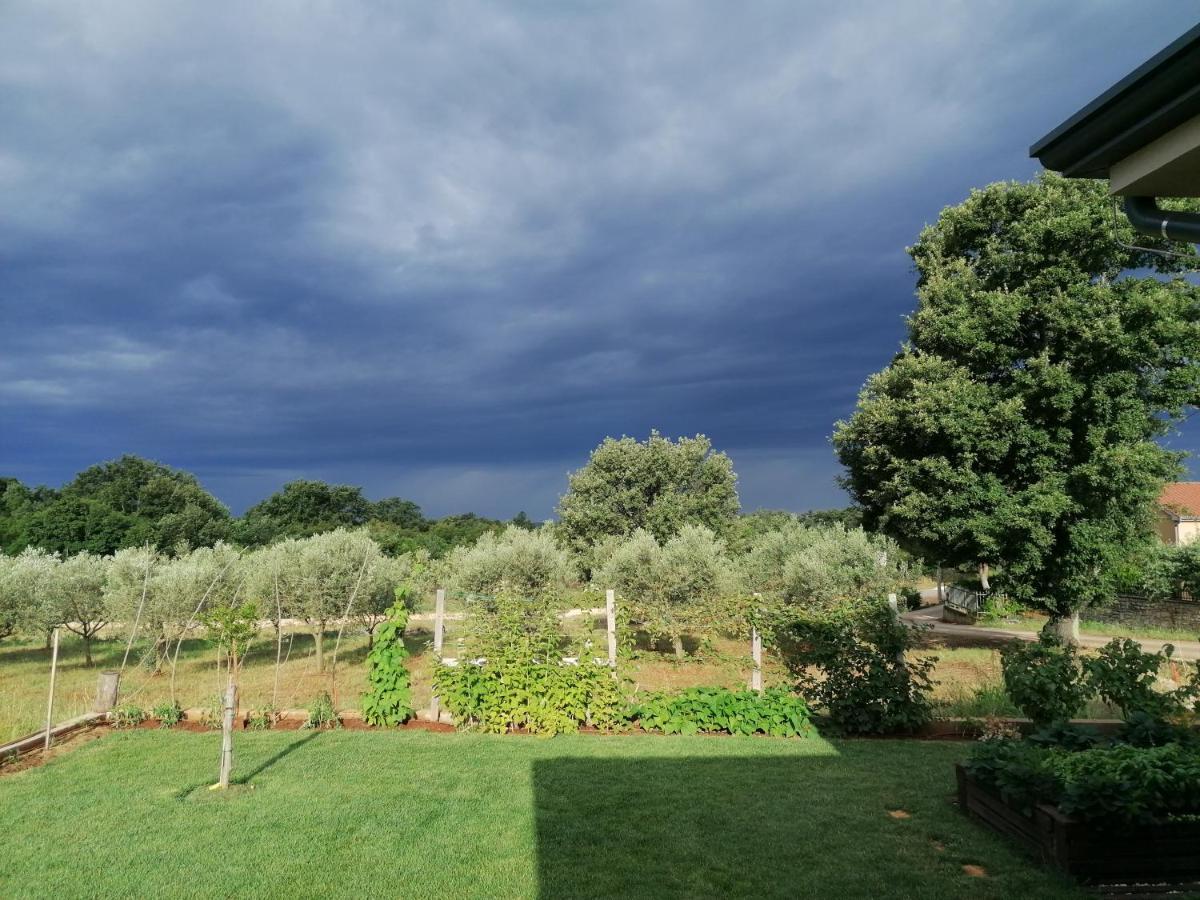 Ferienresidenz Lavandula Nova Vas  Exteriör bild